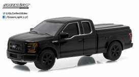 Ford  - 2015 black - 1:64 - GreenLight - 27840E - gl27840E | Toms Modelautos