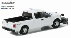 Ford  - F-150 2015  - 1:64 - GreenLight - 29875 - gl29875 | Toms Modelautos