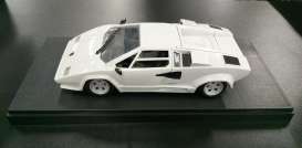 Accessoires  - 2011 transparant/black - 1:18 - Triple9 Collection - 18000 - T9-18000 | Toms Modelautos