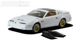 Pontiac  - 1989 white - 1:64 - GreenLight - 28630-6 - gl28630-6 | Toms Modelautos