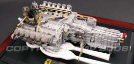 Ferrari  - 1:6 - Acme Diecast - gmpg0604104 | Toms Modelautos
