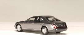 Maybach  - 57 SWB 2000 grey - 1:43 - AutoArt - 56153 - autoart56153 | Tom's Modelauto's