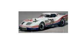 Corvette  - 1976  - 1:18 - TrueScale - m121811R - tsm121811R | Toms Modelautos