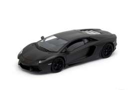 Lamborghini  - Aventador 2011 nemesis matt black - 1:18 - Welly - 18041Nemesis - welly18041bk | Toms Modelautos