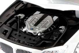 BMW  - 2010 citrine black - 1:18 - Kyosho - 8781CBK - kyo8781CBK | Toms Modelautos