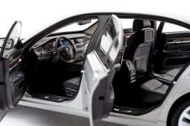 BMW  - 2010 citrine black - 1:18 - Kyosho - 8781CBK - kyo8781CBK | Toms Modelautos