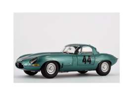 Jaguar  - 1:18 - Paragon - 98331 - para98331 | Toms Modelautos