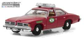 Pontiac - 1976 - 1:64 - GreenLight - gl42830B | Tom's Modelauto's Pontiac - 1976 - 1:64 - GreenLight - gl42830B | Tom's Modelauto's
