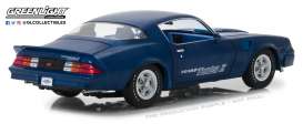 Chevrolet  - Z/28 Yenko Turbo Z 1981  - 1:18 - GreenLight - 13520 - gl13520 | Toms Modelautos