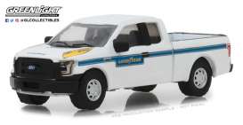Ford - F-150 2016 white - 1:64 - GreenLight - 41060F - gl41060F | Tom's Modelauto's Ford - F-150 2016 white - 1:64 - GreenLight - 41060F - gl41060F | Tom's Modelauto's