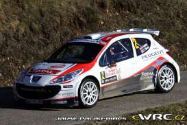 Peugeot  - 207 S2000 #2 P.Solberg 2011 white/red/grey - 1:18 - SunStar - 5442 - sun5442 | Toms Modelautos