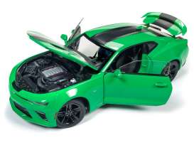 Chevrolet  - Camaro SS 2017 green/black - 1:18 - Auto World - 244 - AW244 | Toms Modelautos