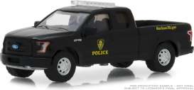 Ford - F-150 2017 black - 1:64 - GreenLight - 42860F - gl42860F | Tom's Modelauto's Ford - F-150 2017 black - 1:64 - GreenLight - 42860F - gl42860F | Tom's Modelauto's