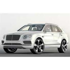 Bentley  - Bentayga 2016 white satin - 1:43 - Almost Real - ALM430206 - ALM430206 | Toms Modelautos