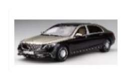 Mercedes Benz - Maybach S650 2019 silver/black - 1:18 - GT Spirit - GT237 - GT237 | Tom's Modelauto's Mercedes Benz - Maybach S650 2019 silver/black - 1:18 - GT Spirit - GT237 - GT237 | Tom's Modelauto's