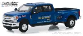 Ford - F-350 2018 - 1:64 - GreenLight - 46020E - gl46020E | Tom's Modelauto's Ford - F-350 2018 - 1:64 - GreenLight - 46020E - gl46020E | Tom's Modelauto's