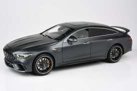 Mercedes Benz AMG - AMG GT63S 2019 matt grey - 1:18 - Paragon - 78012 - para78012 | Toms Modelautos