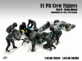 Figures diorama - Team Black #2 2020 silver - 1:18 - American Diorama - 76554 - AD76554 | Toms Modelautos