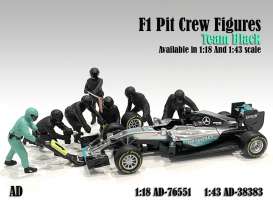 Figures diorama - Team Black #1 2020 silver - 1:43 - American Diorama - 38383 - AD38383 | Toms Modelautos