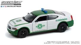 Dodge  - Charger 2006 white/green - 1:43 - GreenLight - 86605 - gl86605 | Toms Modelautos