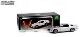 Pontiac  - Firebird 1977 silver - 1:18 - GreenLight - 19101 - gl19101 | Toms Modelautos