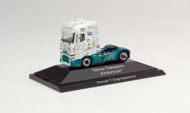 Renault  - T Talmon white/green - 1:87 - Herpa Trucks - H111065 - herpa111065 | Toms Modelautos