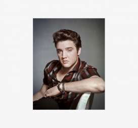 Tac Signs  - Elvis Presley grey/various - Tac Signs - D2433 - tacD2433 | Toms Modelautos