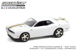 Dodge  - Challenger R/T 2009 white - 1:64 - GreenLight - 30306 - gl30306 | Toms Modelautos