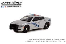 Dodge - Charger 2019 grey - 1:64 - GreenLight - 42990D - gl42990D | Toms Modelautos Dodge - Charger 2019 grey - 1:64 - GreenLight - 42990D - gl42990D | Toms Modelautos