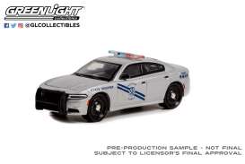 Dodge  - Charger 2019 grey - 1:64 - GreenLight - 42990D - gl42990D | Toms Modelautos