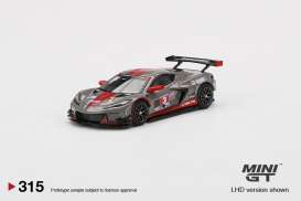 Chevrolet  - Corvette C8.R #3 2021 grey/red - 1:64 - Mini GT - 00315-L - MGT00315MJlhd | Toms Modelautos