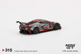 Chevrolet  - Corvette C8.R #3 2021 grey/red - 1:64 - Mini GT - 00315-L - MGT00315MJlhd | Toms Modelautos