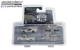 Ford  - F-100 1969  - 1:64 - GreenLight - 31140B - gl31140B | Toms Modelautos