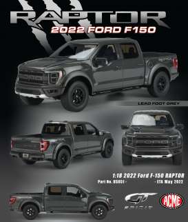 Ford  - F-150 Raptor pick-up 2022 lead foot grey - 1:18 - Acme Diecast - US051 - GTUS051 | Toms Modelautos