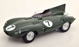 Jaguar  - D-Type 1955 green - 1:18 - CMR - cmr194 - cmr194 | Toms Modelautos