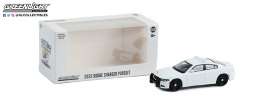 Dodge  - Charger 2022 white - 1:64 - GreenLight - 43002 - gl43002pol | Toms Modelautos