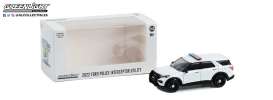 Ford  - 2022 white - 1:64 - GreenLight - 43004 - gl43004pol | Toms Modelautos