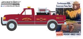 Ford  - F-250 1990  - 1:64 - GreenLight - 38060E - gl38060E | Toms Modelautos