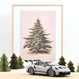 Porsche  - 911 GT3 RS 2022 grey - 1:18 - Norev - 187359 - nor187359 | Toms Modelautos