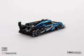 Acura  - ARX-06 GTP 2024 black/blue - 1:43 - TrueScale - TSM430795 - TSM430795 | Toms Modelautos