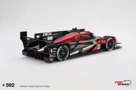 Acura  - ARX-06 GTP 2024 black/red - 1:18 - Top Speed - TS0592 - TS0592 | Toms Modelautos