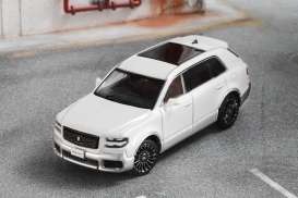 Toyota  - Century white/silver - 1:64 - Tiny Toys - KS-050-461 - tinyKS-050-461 | Toms Modelautos
