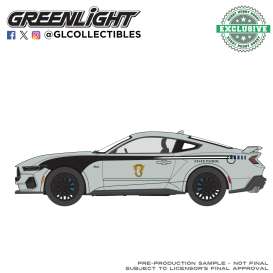 Ford  - Mustang 2024 grey - 1:64 - GreenLight - 30568 - gl30568 | Toms Modelautos