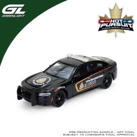 Dodge  - Charger 2018  - 1:64 - GreenLight - 43065C - gl43065C | Tom's Modelauto's