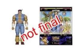 Figures  - T. Hawk  - Jada Toys - 35739 - jada35739 | Toms Modelautos