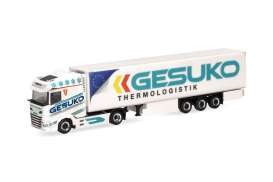 Daf  - XG various - 1:87 - Herpa - 320641 - herpa320641 | Toms Modelautos