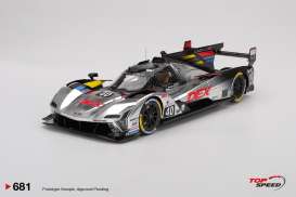 Cadillac  - V-Series 2025 silver/red/black - 1:18 - Top Speed - TS0681 - TS0681 | Toms Modelautos
