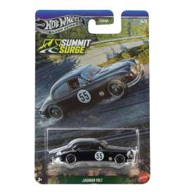 Assortment/ Mix  - Hill Climbers various - 1:64 - Hotwheels - GDG44 - hwmvGDG44-977S | Toms Modelautos