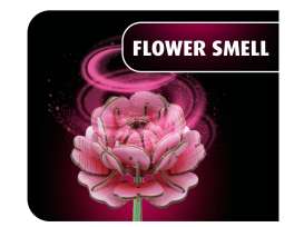 Accessoires  -  Flower Garden various - Revell - Germany - 00632 - revell00632 | Toms Modelautos